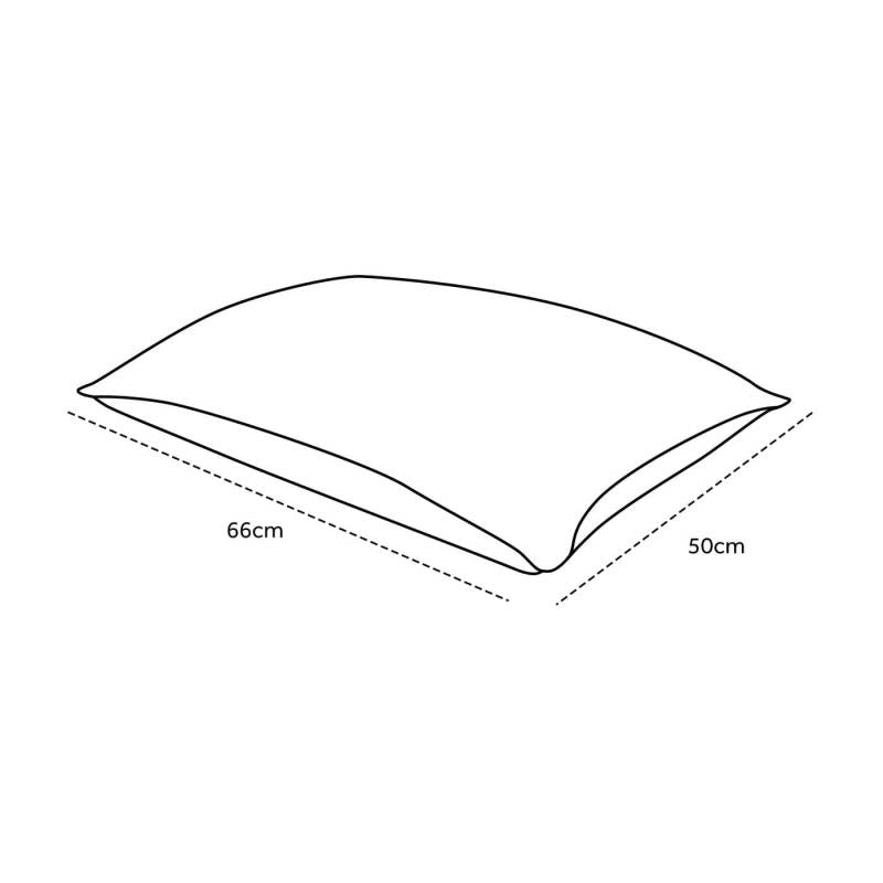 SEALY ALMOHADA TRADICIONAL STD